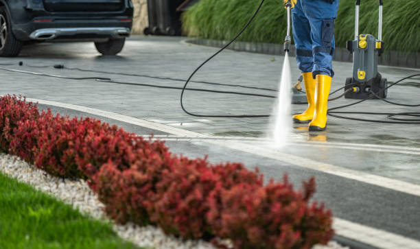 Best Pre-Holiday Cleaning  in Jefferson, TX